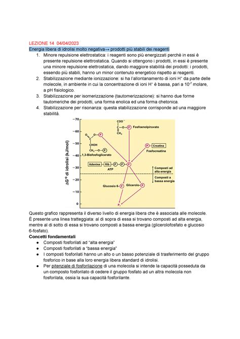 Biochimica Prof Zara Lezione Lezione Energia Libera Di