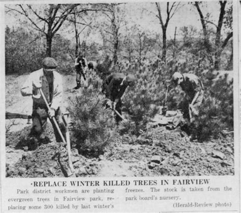 Local History - Trees of Decatur | Decatur, IL Public Library