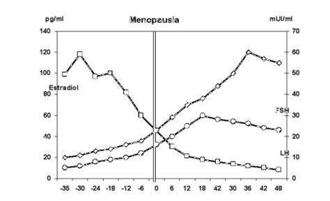 La Menopausia Puesta Al Día