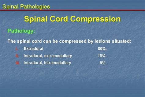 Spinal Cord Compression Spine Fractures Department Of Neurosurgery