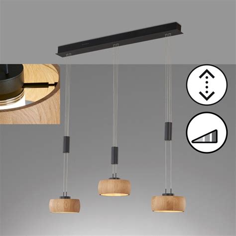 Fischer Honsel Shinewood Pendant Light Led Black Illumination