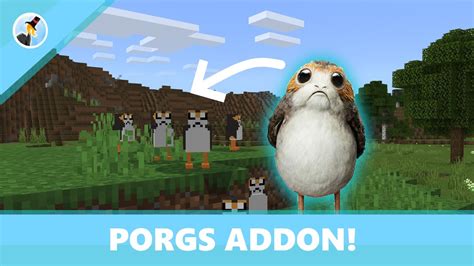 Porgs In Minecraft Minecraft Bedrock Add On Youtube