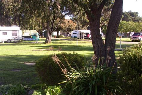 Camping Victor Harbor - Spacious Grassed Sites | Victor Harbor Holiday