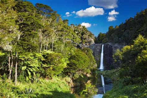 Auckland Hiking Guide: The BEST Hikes & Walks for Your NZ Adventure