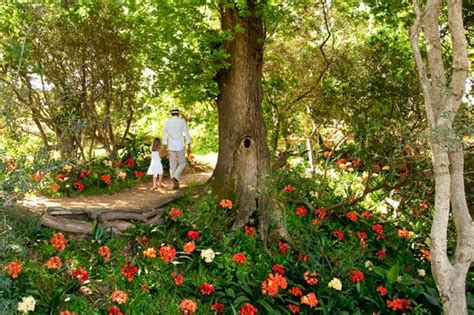 Babylonstoren Garden Tour - franschhoek wine valley