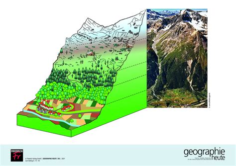 Höhenstufen in den Alpen Differenzierende Unterrichtsmaterialien auf