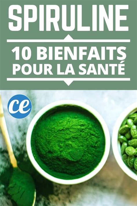 Spiruline Bienfaits Pour La Sant Que Tout Le Monde Devrait Conna Tre