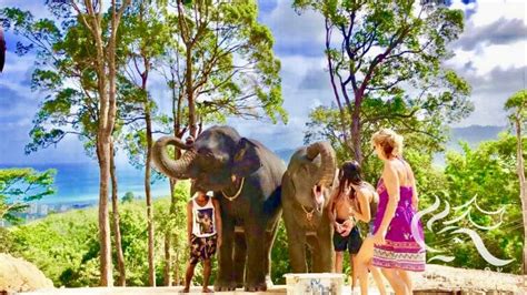 Phupa Elephant Trekking Phuket D4