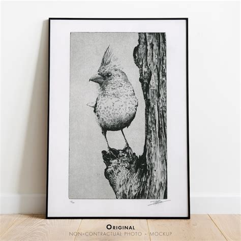 Original Etching Limited Edition Fine Art Print Intaglio Bird