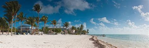 THE 15 BEST Things to Do in Islamorada - 2022 (with Photos) - Tripadvisor