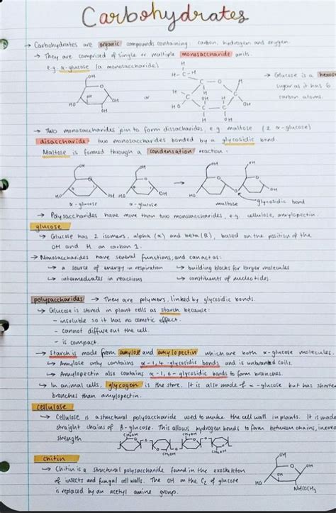 Pin By Alexa Alconz On Adn Biochemistry Notes Biology Notes Study