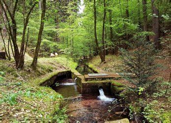 Wolfsschluchthütte schönsten Wanderwege GPS Wanderatlas