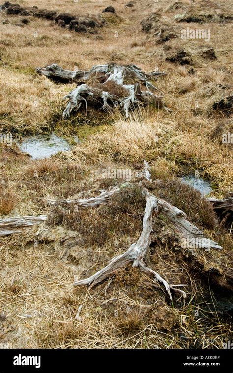 Peat bog ireland digging hi-res stock photography and images - Alamy