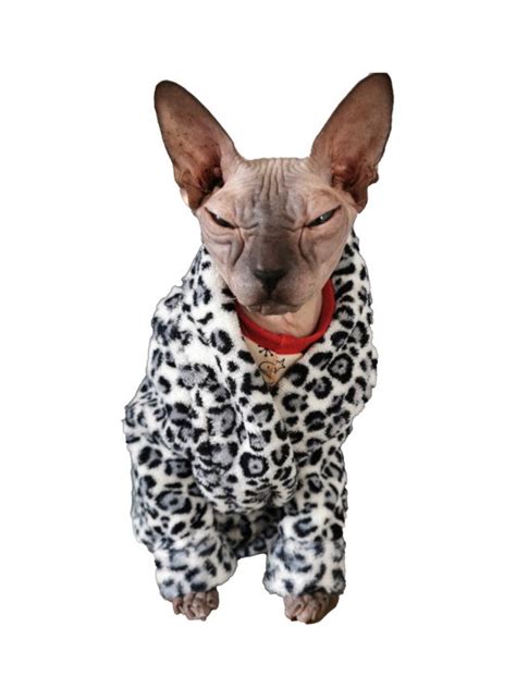 50 Sizes Sphynx Bathrobe Sewing Pattern Aziza Dressing Gown The