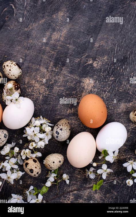 Chicken And Quail Eggs With Blooming Branch Stock Photo Alamy