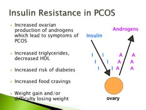 Insulin Resistance And PCOS What You Need To Know Martha McKittrick