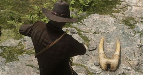 Red Dead Redemption 2 Dinosaur Bone Locations And Map