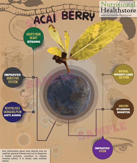 Acai Berry For Weight Loss and Many Health Benefits | Nutri Inspector