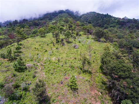 Día internacional de las Montañas 11 de diciembre Programa De Las