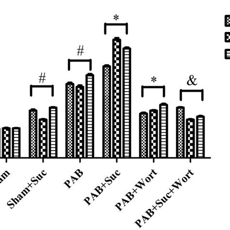 The expression levels of the RVH associated genes myosin heavy chain β