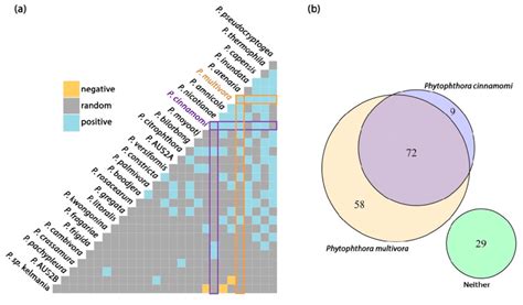 A Pairwise Co Occurrence Matrix For A Subset Of Phytophthora Species