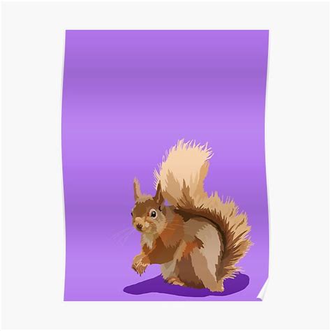 Colourful Red Squirrel Artwork Poster By Spicecatdesigns Redbubble