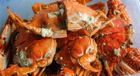 Top 5 Filipino Seafood Dishes Philippine Beach Guide