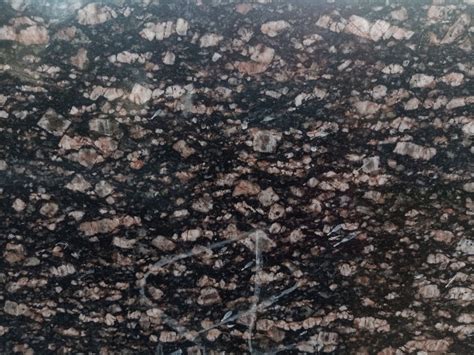 15 20 Mm Coffee Brown Granite For Flooring Countertops At Best Price