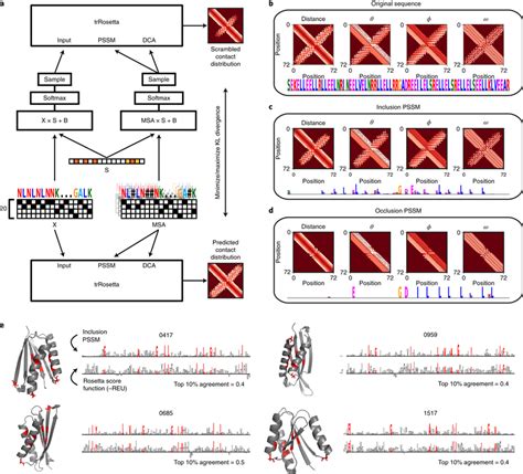 Example Heterodimer Binder Attributions Example attributions of a ...