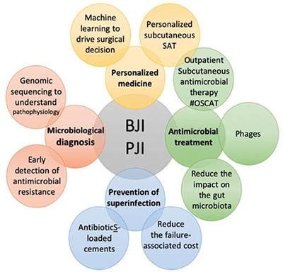 Frontiers Editorial Innovative Approaches In The Management Of Bone