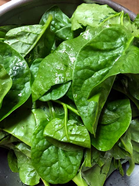 Malabar Spinach Stir Fry Recipe • Oh Snap Lets Eat