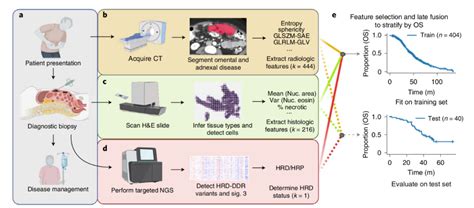 Nature Cancer 多模态数据集成改善卵巢癌风险评级 知乎