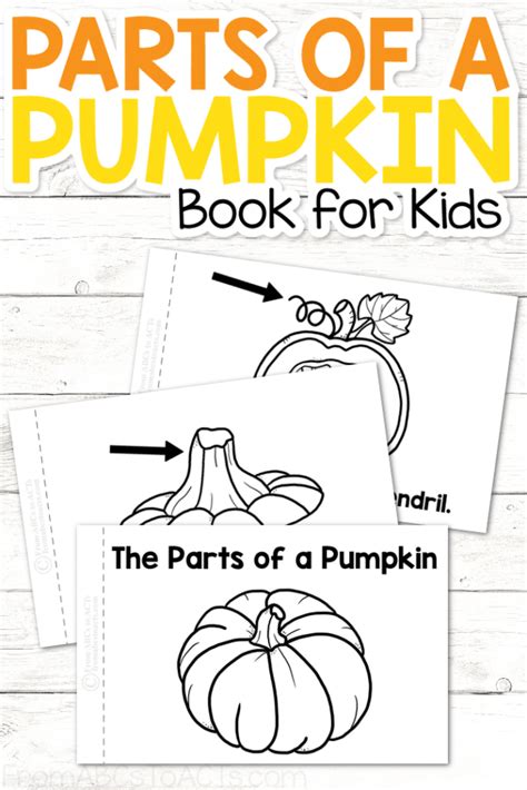 Printable Parts Of A Pumpkin Book For Kids From Abcs To Acts