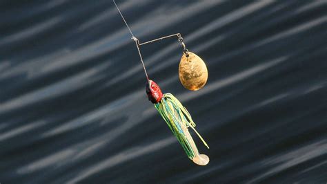 How And Why To Fish A Heavy Spinnerbait Shallow Wired Fish