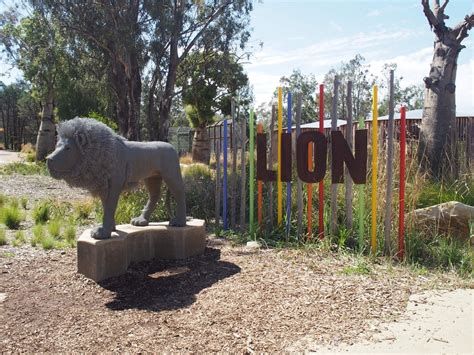 Taronga Western Plains Zoo Dubbo Top Tips For A Great Visit Newy