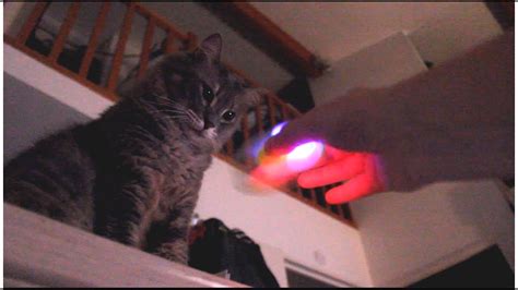 Hand Spinner Led Batman Et Fluorescent Mon Chat Approuve Youtube