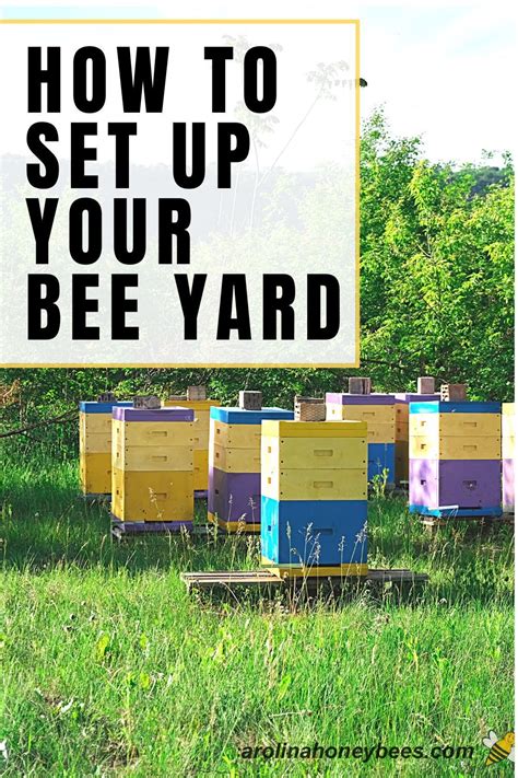 How To Set Up A Bee Yard Backyard Bee Bee Garden Design Honey Bee