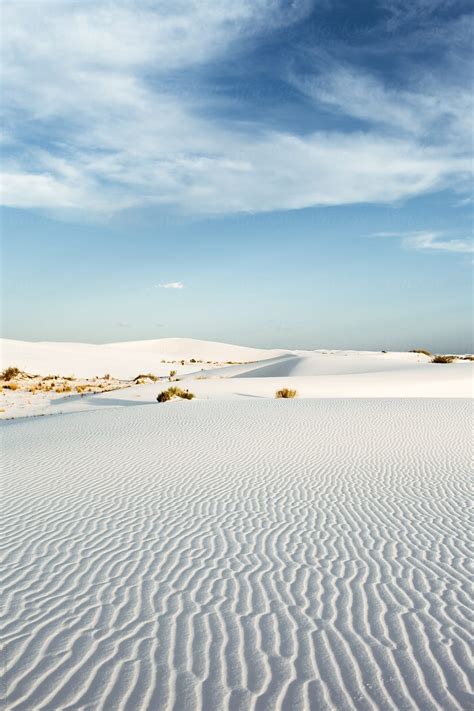 "Desert In New Mexico" by Stocksy Contributor "Kayla Snell" - Stocksy