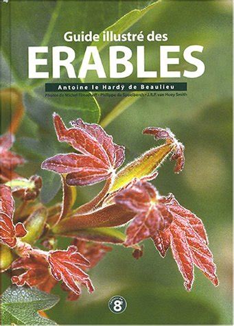 Guide illustré des érables de Antoine Le Hardy De Beaulieu Recyclivre