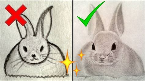 Cómo dibujar un Conejo Dibujos de conejos How to Draw a Bunny