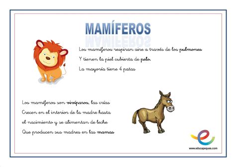 Mamiferos Com A Letra P - Mamíferos Com A Letra P - NAZAEDU