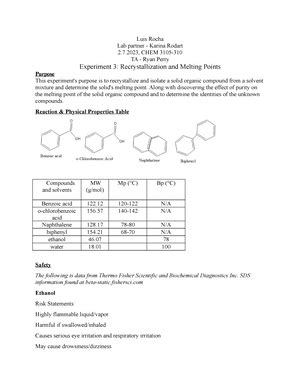 Chem Experiment Luis Rocha Lab Partner Karina Rodart