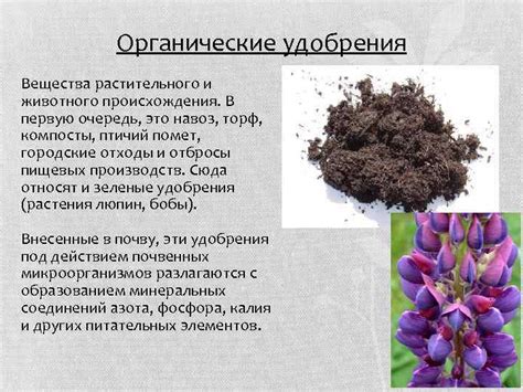 УДОБРЕНИЯ Выполнила Фищук А Гр Тур-1 Удобрения
