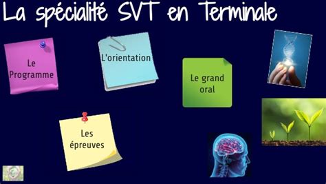 Présentation Term Spé