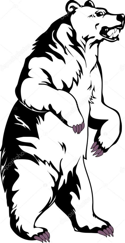 Bear Grizzly Stock Vector Image By ©sushkonastya 7470047