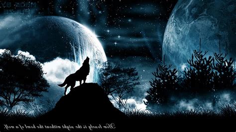 Blue And Black Wolf Black Wolf Howling At The Moon Black Wolf