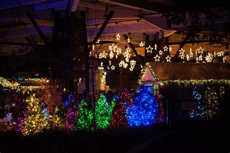 Christmas Lights At The Indianapolis Zoo | Literacy Basics