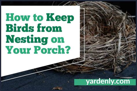 How To Keep Birds From Nesting On Your Porch