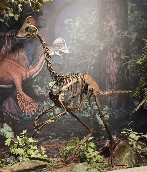 New Dinosaur Chicken From Hell Is Pieced Together By US Scientists