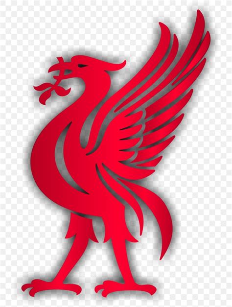 Liverpool Fc Liver Bird Premier League Png 736x1085px Liverpool Fc